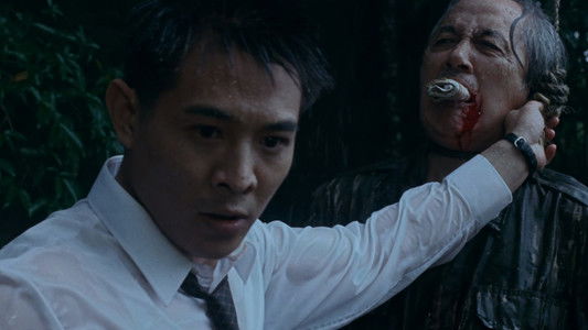 The Bodyguard from Beijing