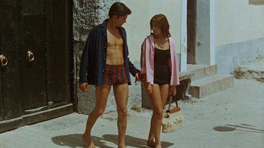 Purple Noon