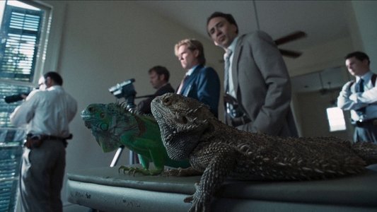 Bad Lieutenant: Port of Call - New Orleans