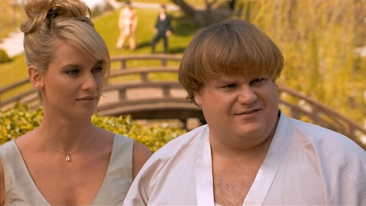 Beverly Hills Ninja