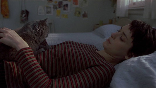 Girl, Interrupted