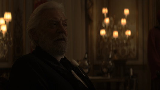 The Hunger Games: Mockingjay - Part 2