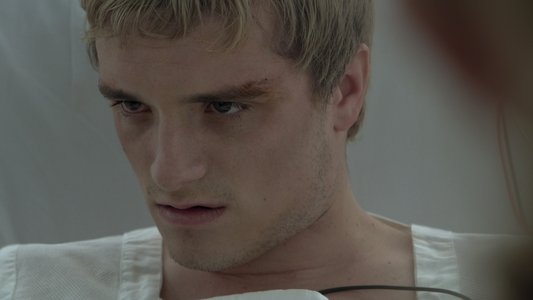 The Hunger Games: Mockingjay - Part 2