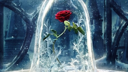 Beauty and the Beast