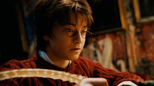 Harry Potter and the Chamber of Secrets