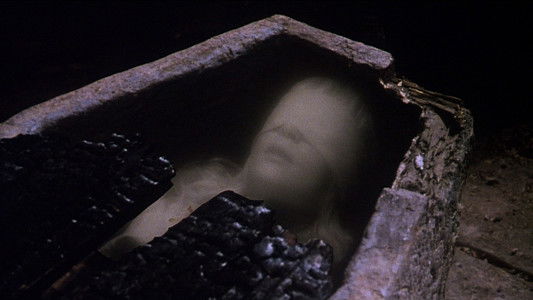 The Watcher in the Woods