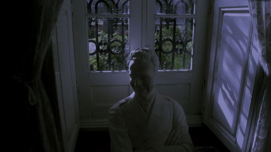 Al Pereira vs. the Alligator Ladies