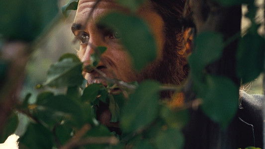 Inherent Vice