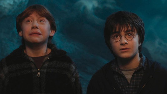 Harry Potter and the Chamber of Secrets