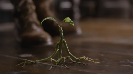 Fantastic Beasts: The Crimes of Grindelwald