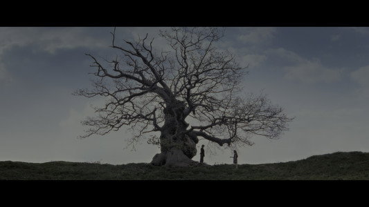 Harry Potter and the Deathly Hallows: Part 2