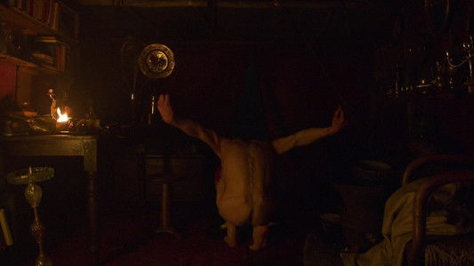 True History of the Kelly Gang