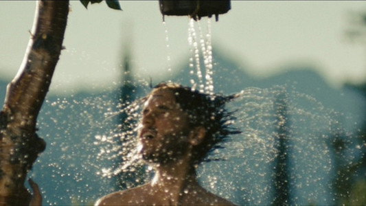 Into the Wild