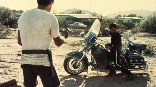 Electra Glide in Blue