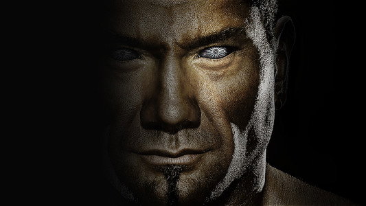 WWE Elimination Chamber 2010