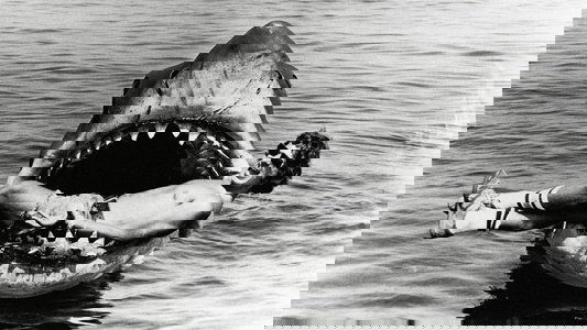 The Shark Is Still Working: The Impact & Legacy of "Jaws"