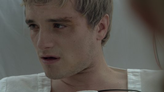 The Hunger Games: Mockingjay - Part 2