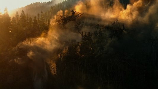 Dawn of the Planet of the Apes