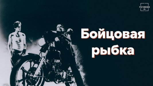 Rumble Fish