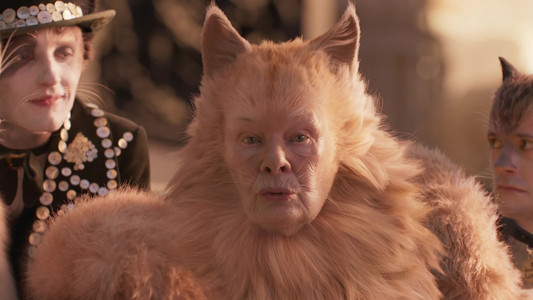 Cats