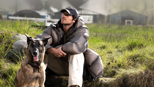 The Dog Stars