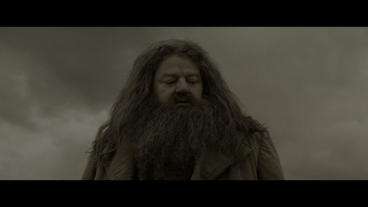 Harry Potter and the Half-Blood Prince