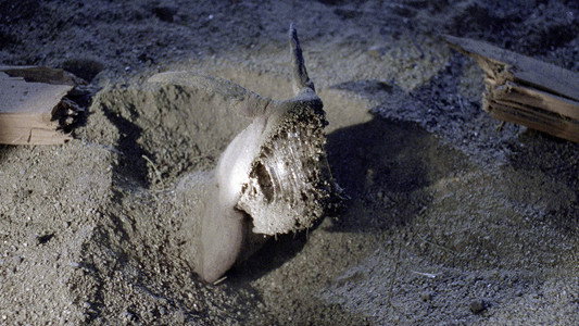 Tremors