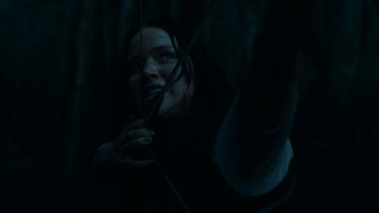 The Hunger Games: Catching Fire
