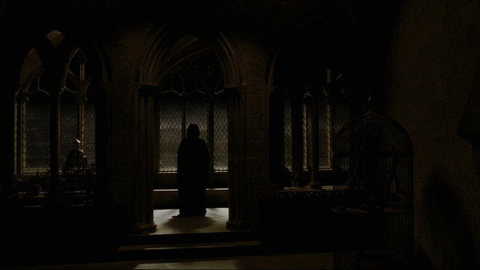 Harry Potter and the Half-Blood Prince