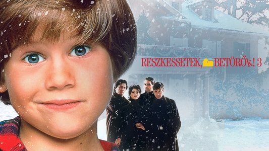 Home Alone 3