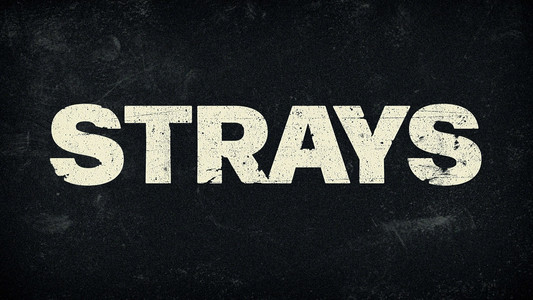 Strays