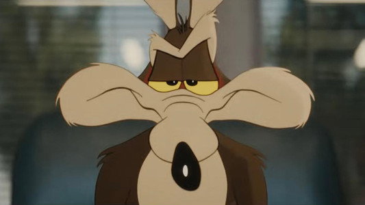 Coyote vs. Acme