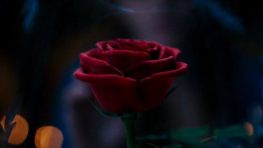 Beauty and the Beast