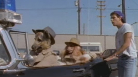 The Dog Police