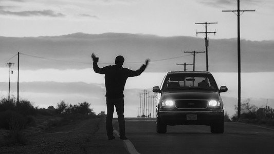 Nocturnal Animals