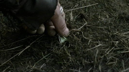 The Lord of the Rings: The Two Towers
