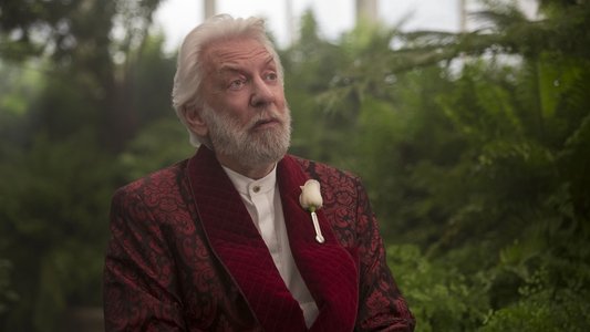 The Hunger Games: Mockingjay - Part 2