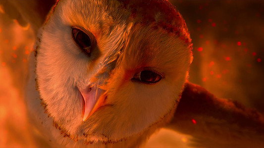 Legend of the Guardians: The Owls of Ga'Hoole