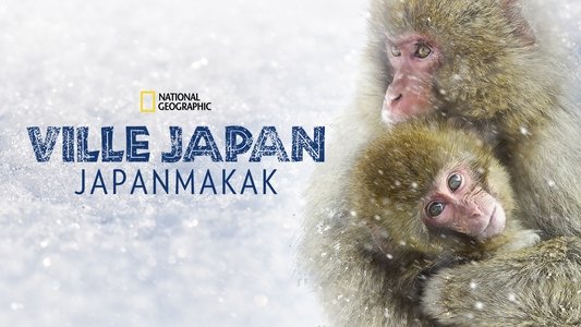 Wild Japan: Snow Monkeys