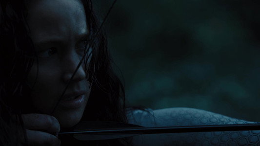 The Hunger Games: Catching Fire
