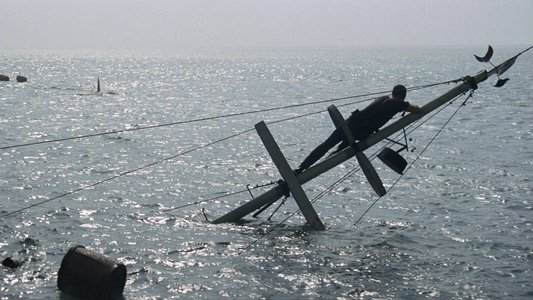 Jaws
