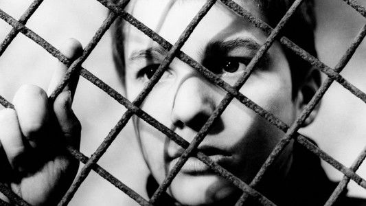 The 400 Blows