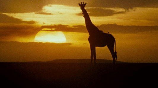 Ace Ventura: When Nature Calls