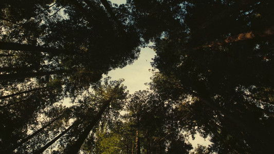 One Battle After Another