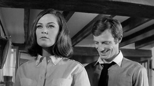 Crime on a Summer Morning