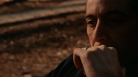 The Godfather Part II