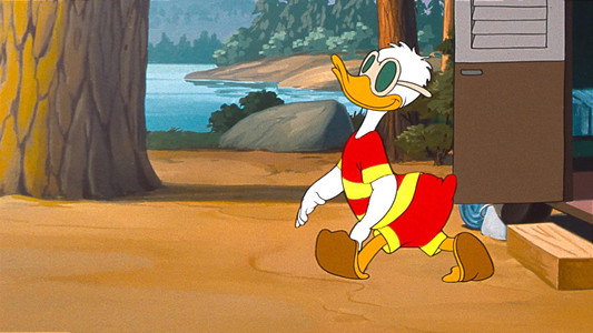 Duck Flies Coop