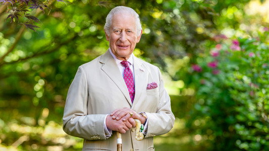 Finding Harmony: A King's Vision