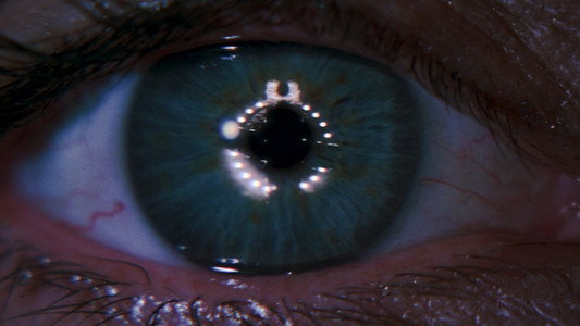 Event Horizon