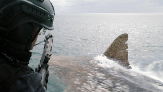 The Meg